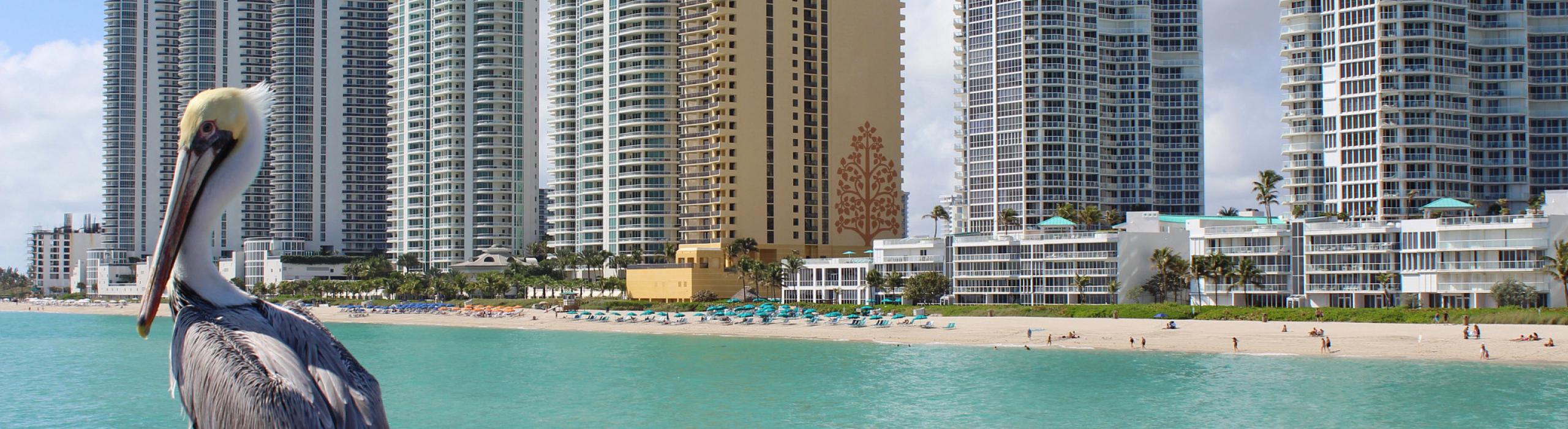 Miami, Združene države Amerike, mesto, morje