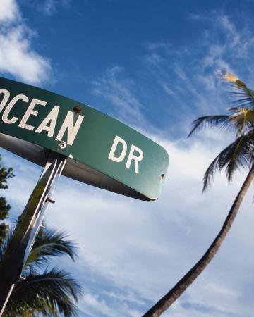 The Best of FLORIDA – 'self drive'