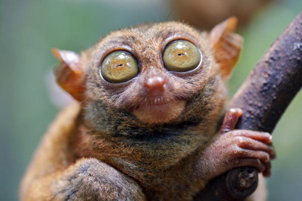 The Lind Boracay *****