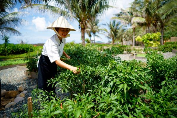 Six Senses Con Dao *****, Vietnam