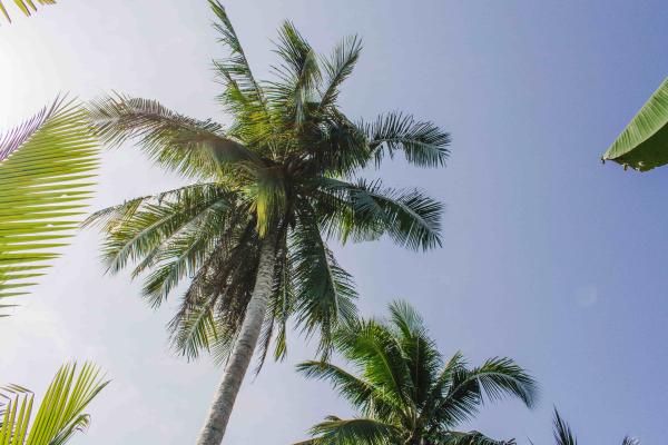 Anantara Mui Ne *****