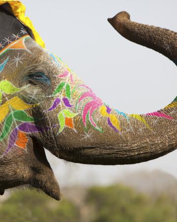 Indija potovanje - Delhi, Agra, Jaipur, Goa