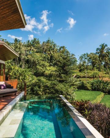 Four Seasons at Sayan *****