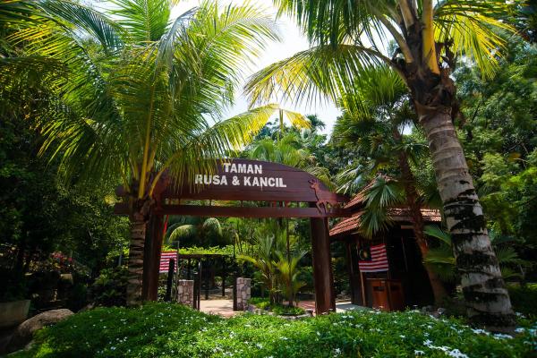 Malezija, Azija, park, palme