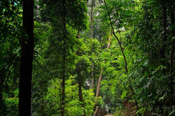 Mandarin Oriental, Kuala Lumpur *****