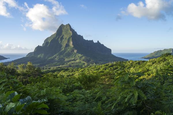 Francoska Polinezija