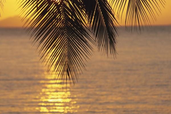 Liku Liku Lagoon *****