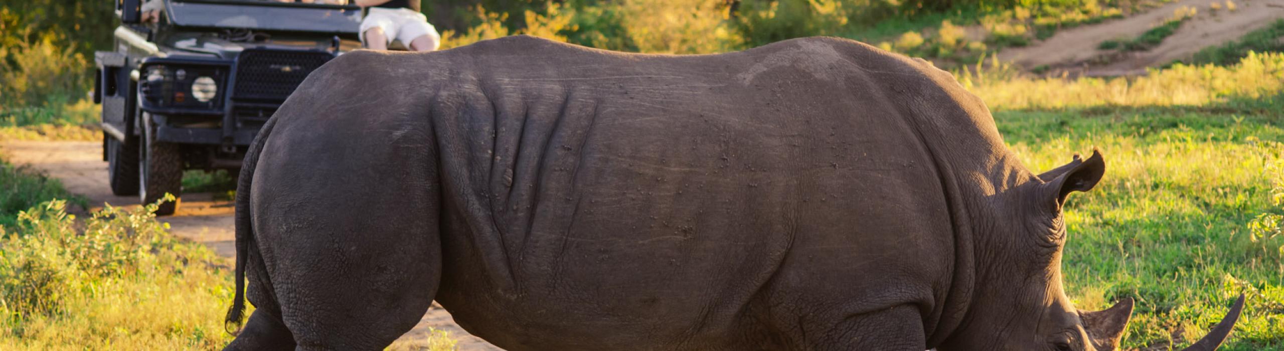 Južna Afrika - potovanje