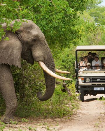 Južna Afrika - potovanje