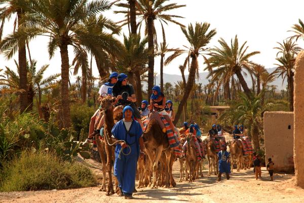 Four Seasons Marrakech *****