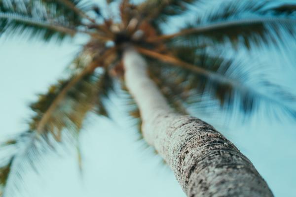 Mwezi Boutique Resort & La Luna Suite Apartments ****, Zanzibar