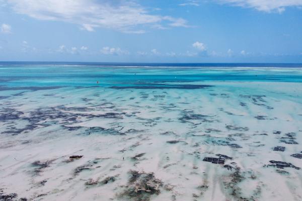 Casa Beach hotel ****, Zanzibar