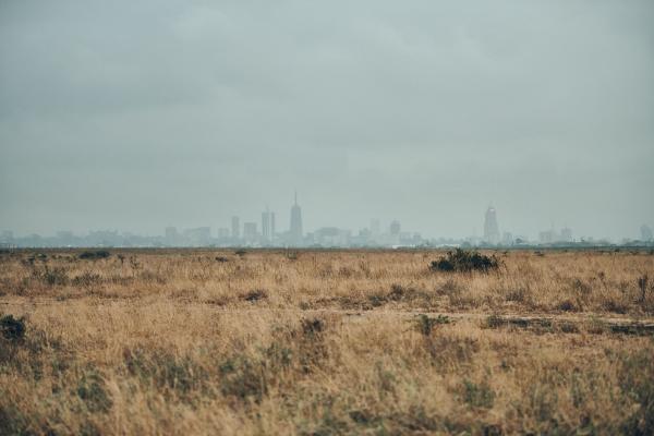 Tanzanijski safari in počitnice na Zanzibarju