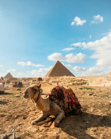 Egipt - obisk svetovnih znamenitosti