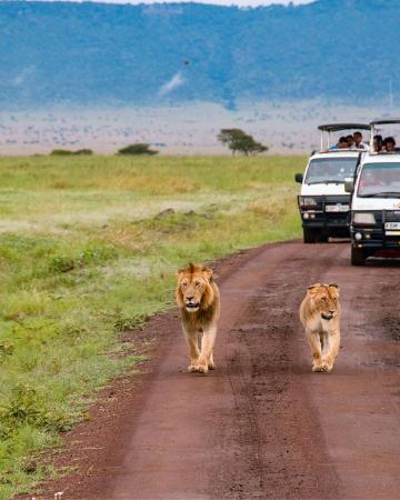 Južna Afrika - potovanje