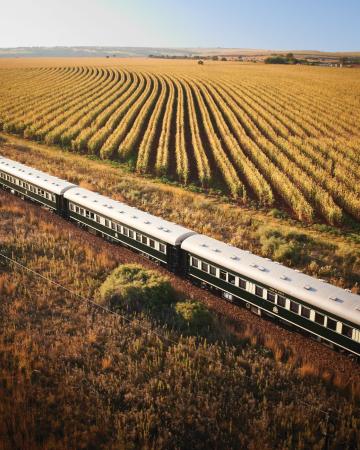 Potovanje z luksuznim vlakom Rovos po Afriki