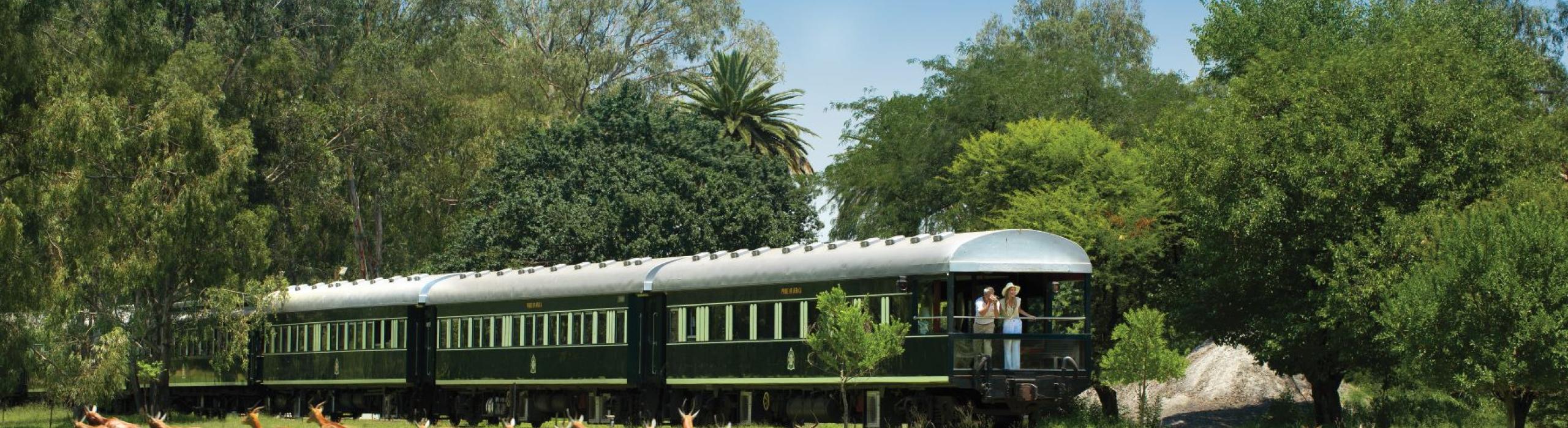 Potovanje z luksuznim vlakom Rovos po Afriki