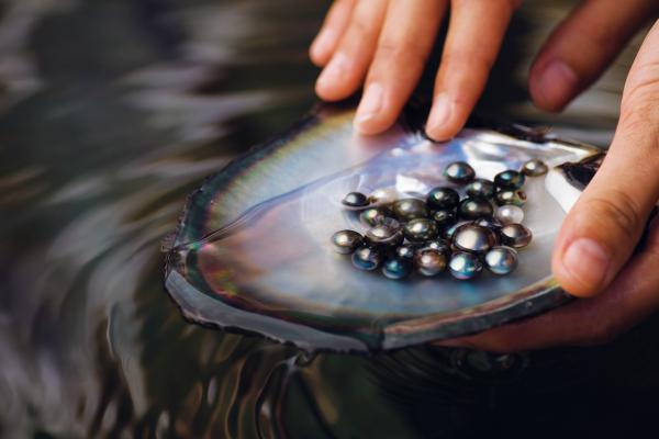 Four Seasons Resort Bora Bora *****