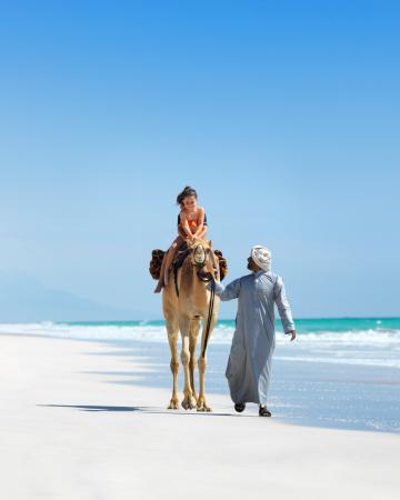 Družinske dogodivščine