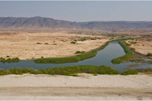 Družinske dogodivščine