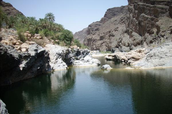 Družinske dogodivščine