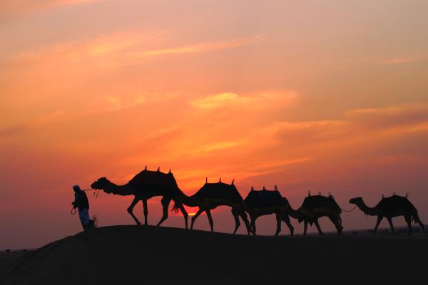 Združeni ARABSKI Emirati