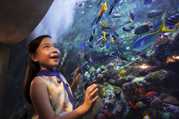 Atlantis The Palm Dubai *****, Dubaj