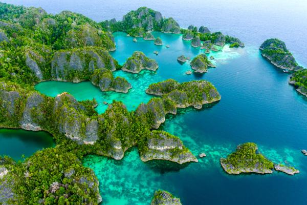 COMO Shambhala Estate ***** in The St. Regis Resort Bali *****, Indonezija