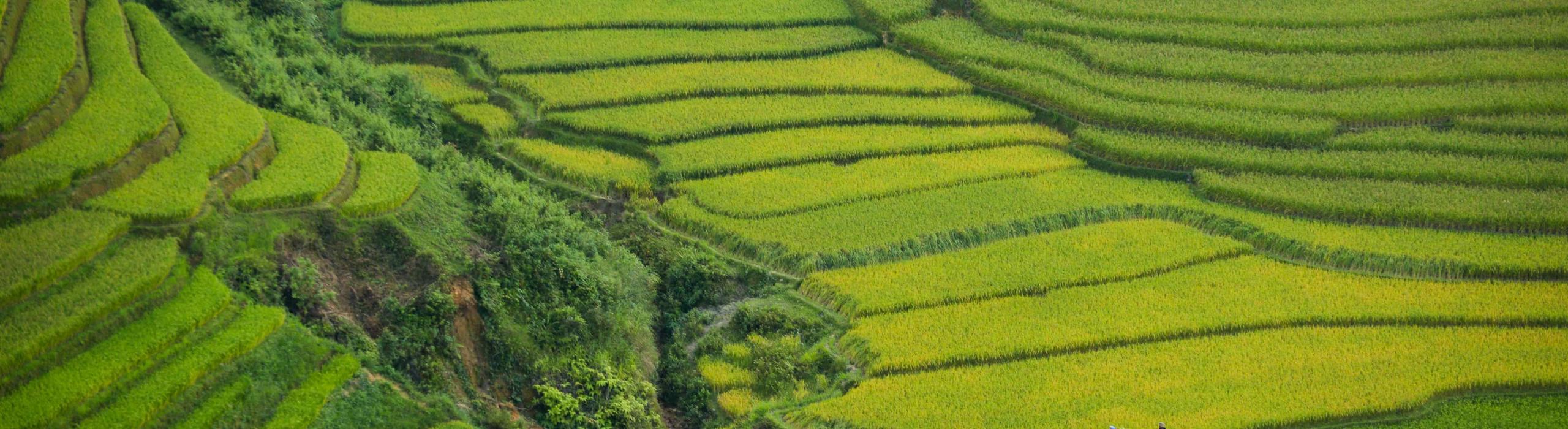 Vietnam Tour - Hanoi, Tonkin, Hoi An, Saigon, Delta Mekong