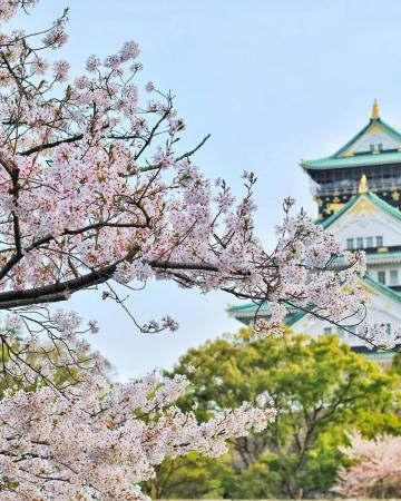 Japonska - potovanje z zasebnim vodičem