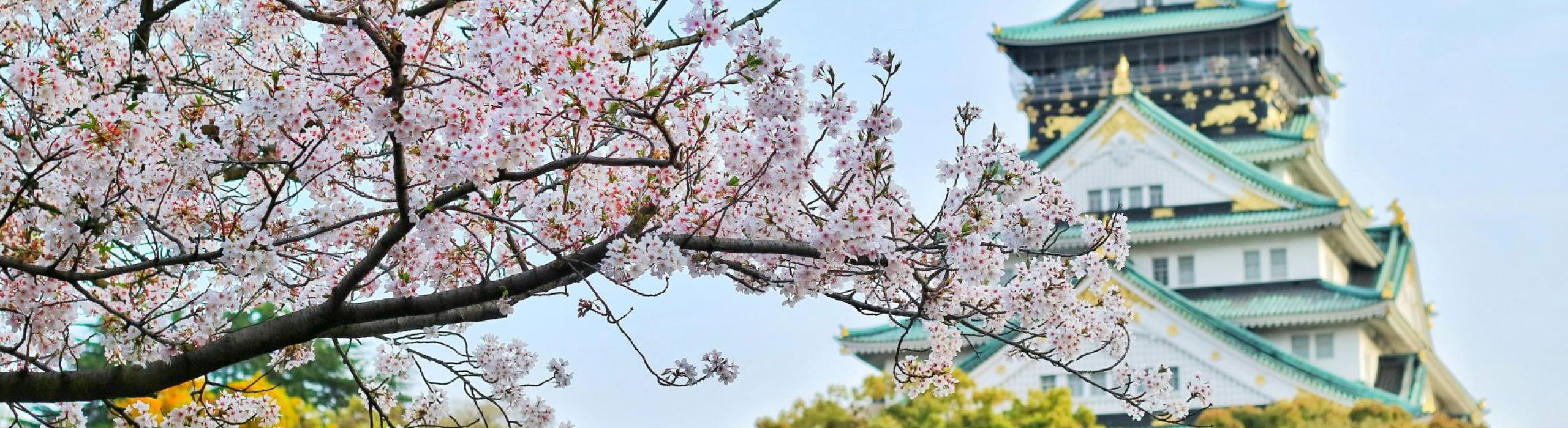 Japonska - potovanje z zasebnim vodičem