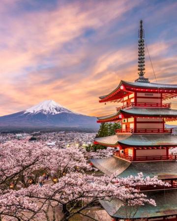 Japonska - zasebno vodena tura