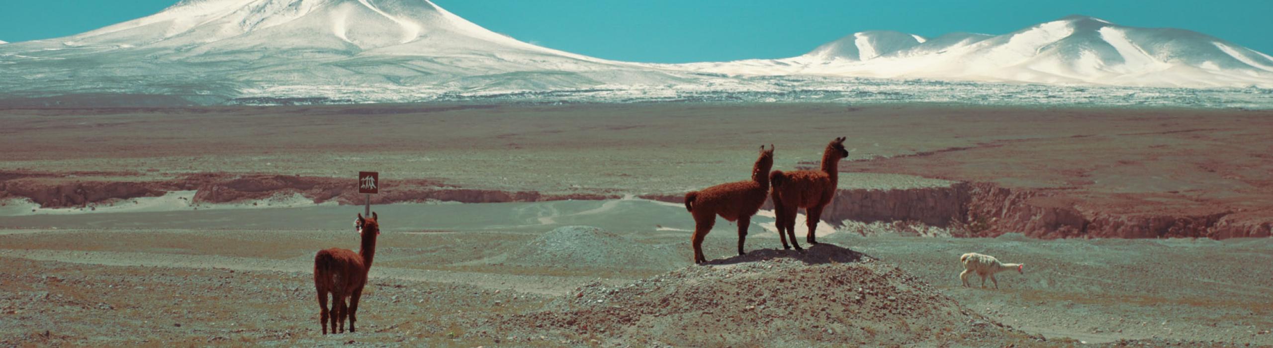 Argentina in Čile - potovanje