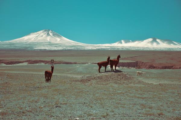 Argentina in Čile - potovanje