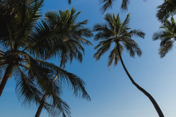 Šri Lanka, otok, plaža, morje