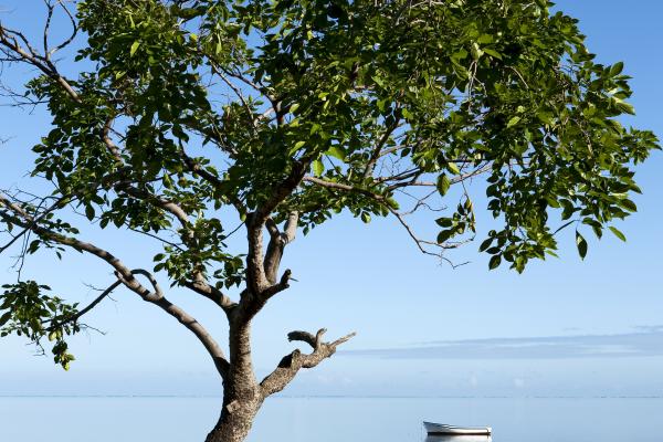 Lux Le Morne *****, Mavricij