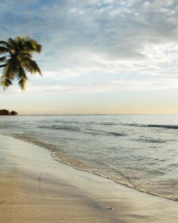 Four Seasons Resort At Deroches Island *****, Sejšeli