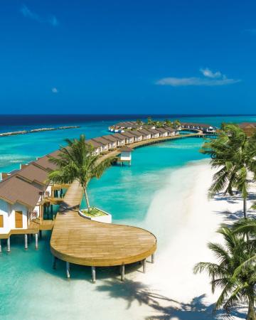 Atmosphere Kanifushi *****; Maldivi