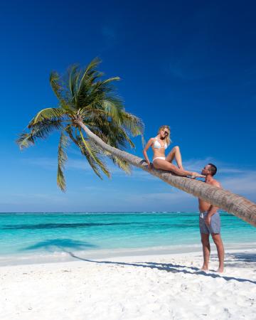 Šri Lanka, Maldivi in Dubaj