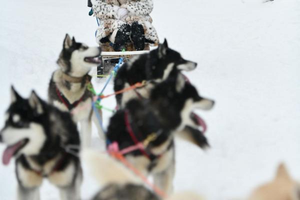 Tromso in iskanje severnega sija